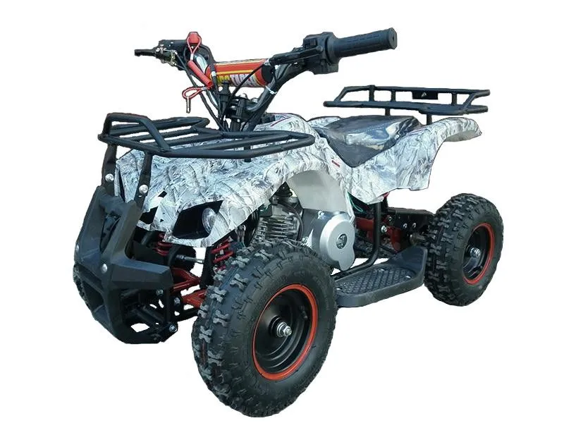 Квадроцикл ATV Target Next